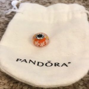 Pandora glass bead charm
